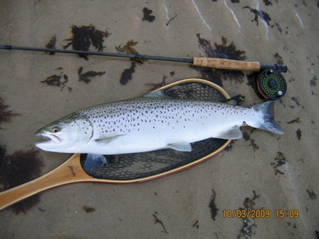 Orkney Trout Fishing Association Fishing Sea Trout