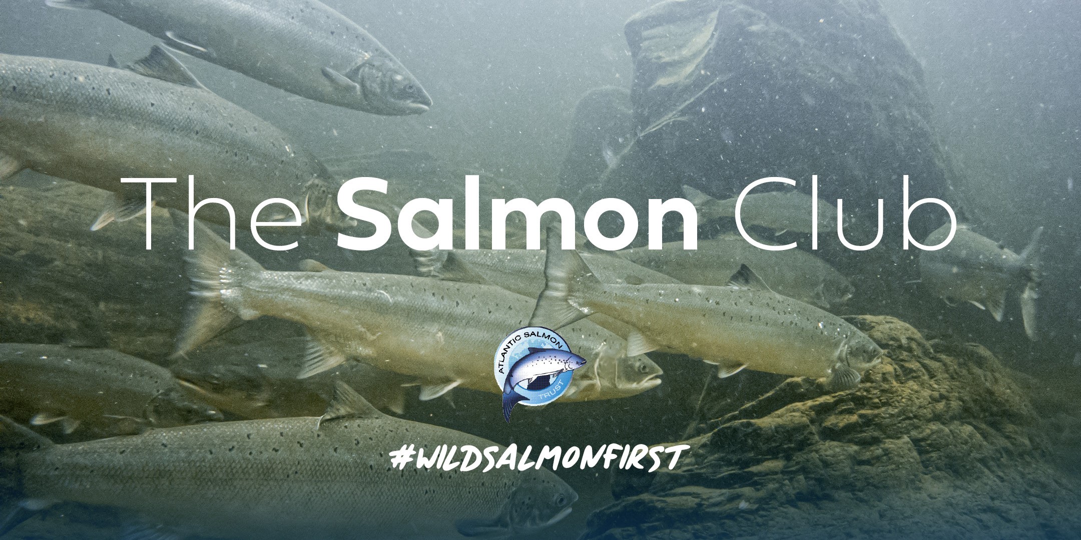 Become a Member - The Atlantic Salmon Trust